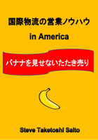 The successful way for Japanese to sell the international logistics service in USA